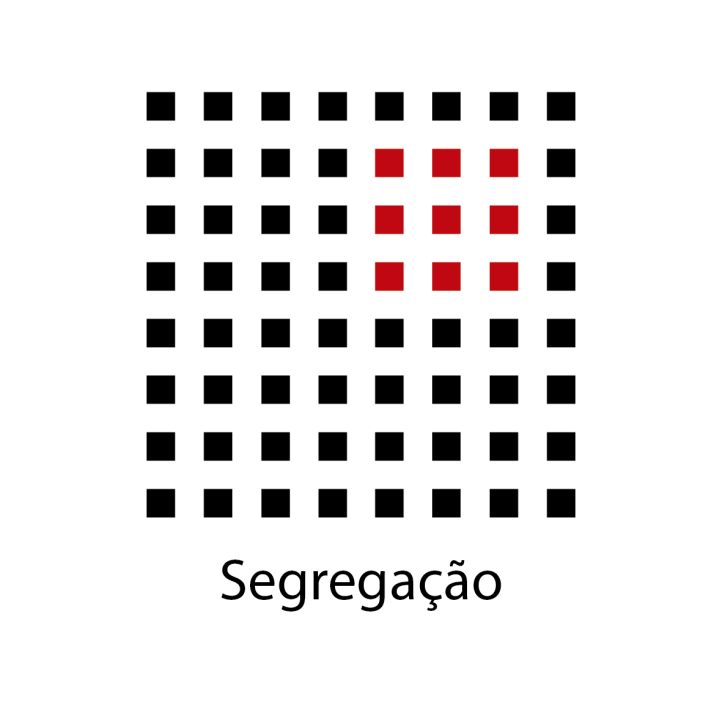 Lei da Segregação